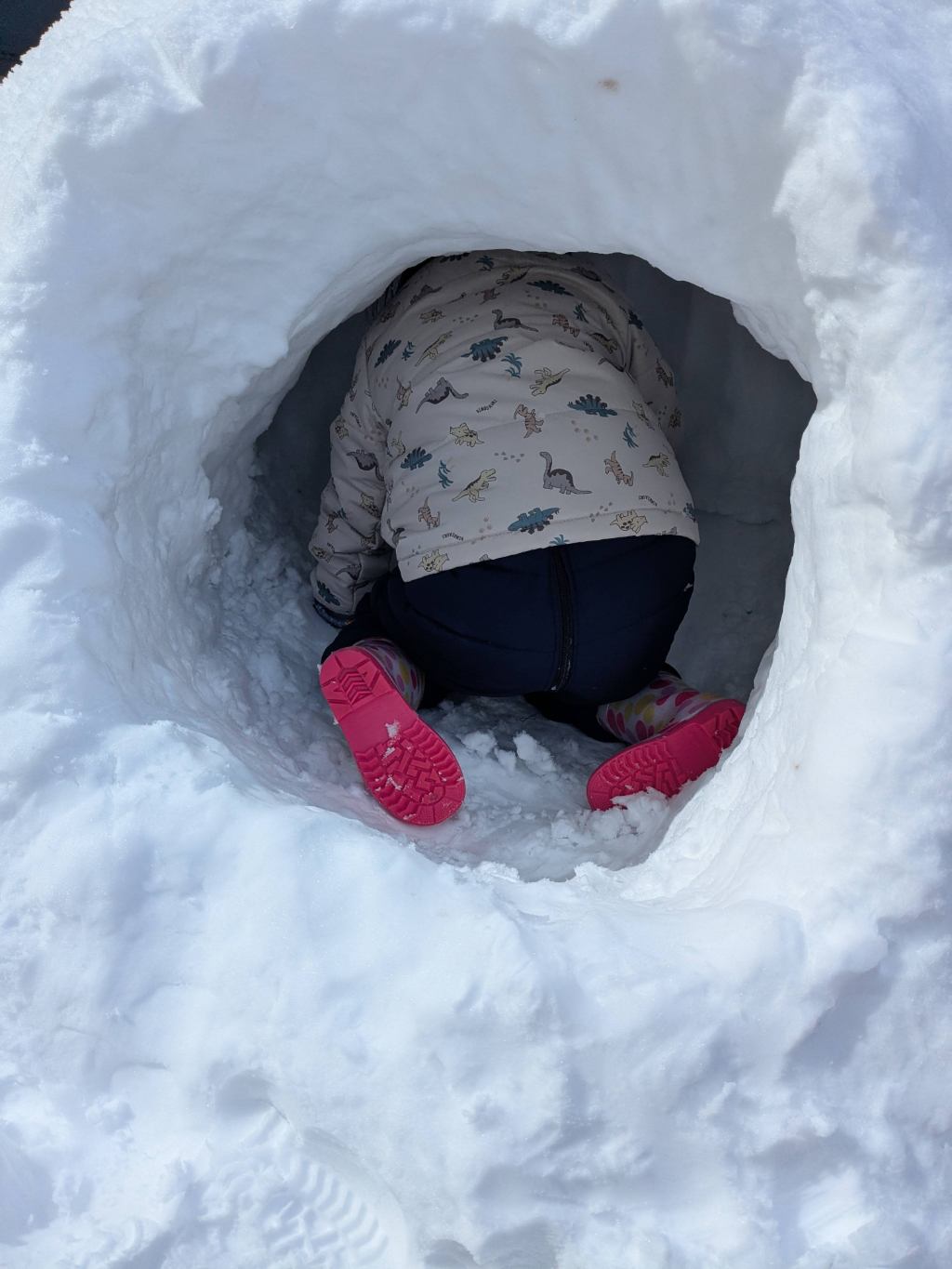 丹波篠山市の積雪と雪室作り